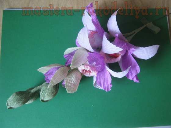 Мастер-класс по свит-дизайну: Орхидея