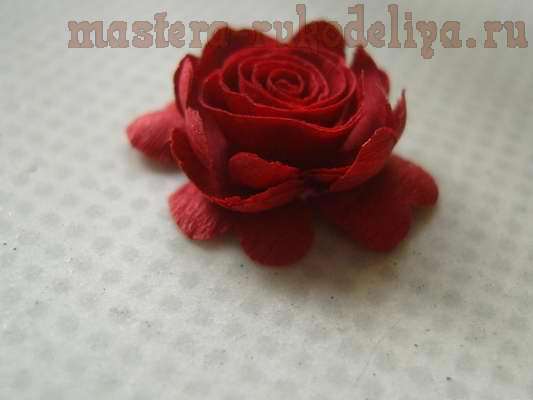 Мастер-класс по квиллингу: Розы из креповой бумаги. Вариант 212