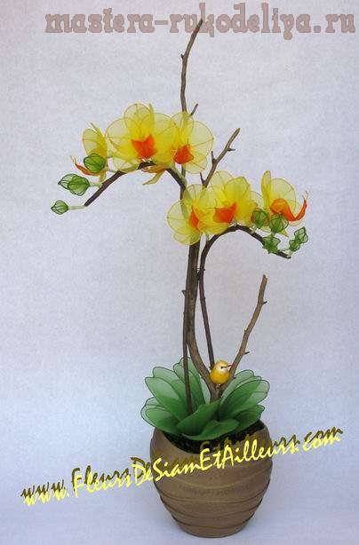 Мастер-класс:Орхидея Фаленопсис из капроновых колготок