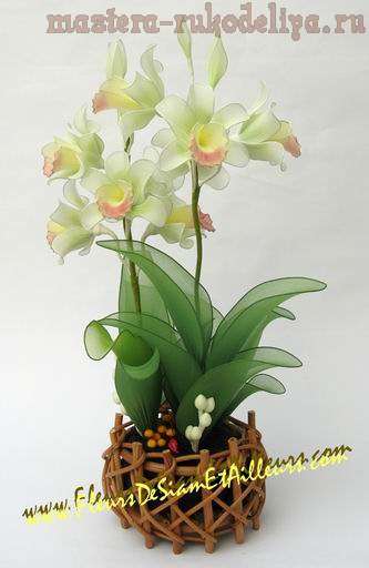 Мастер-класс: Орхидея из капроновых колготок