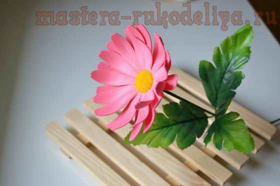 Мастер-класс по цветам из фоамирана: Розовая ромашка