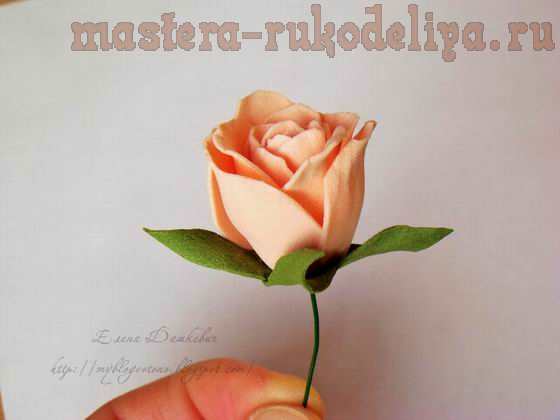 Мастер-класс по цветам из фоамирана: Розы из фома