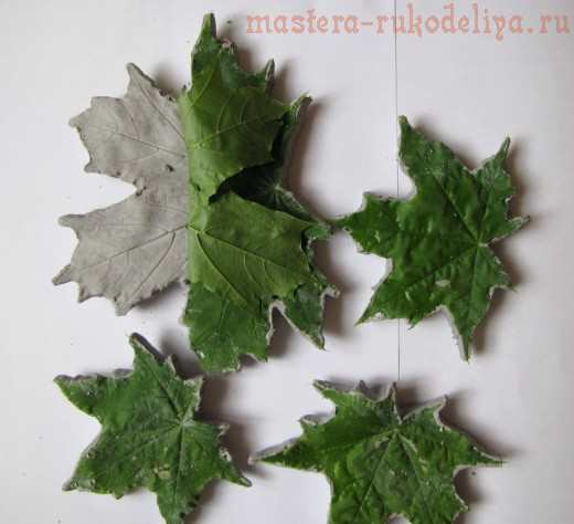 Мастер-класс: Осенние листья из гипса