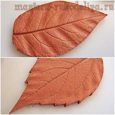 Мастер-класс по лепке из полимерной глины: Листья