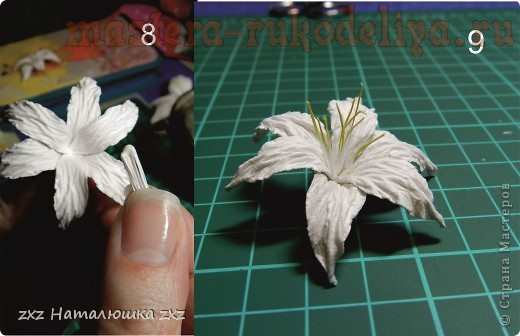 Мастер-класс по скрапбукингу: Цветы лилии