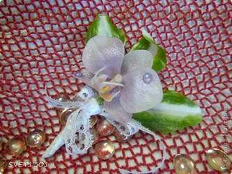 Текстурный молд лепесток орхидеи фаленопсис