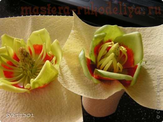 Мастер-класс по лепке из холодного фарфора: Цветок тюльпанного дерева
